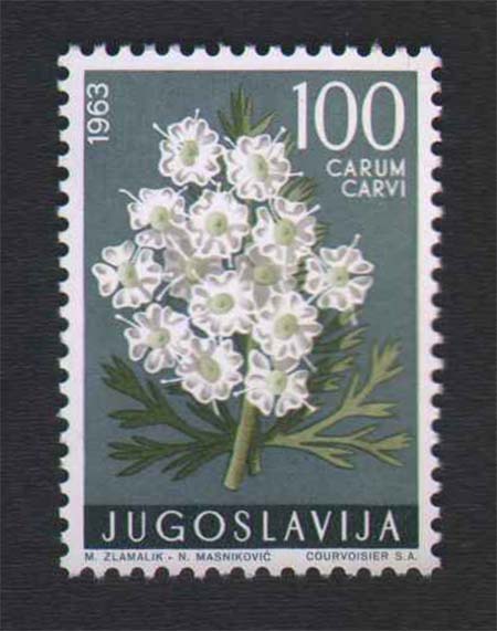 kim 1963 godina kim 1963 godina